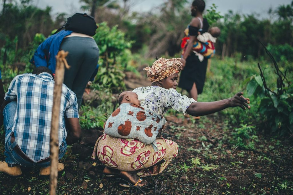 Community agriculture representing climate resilience and adaptation