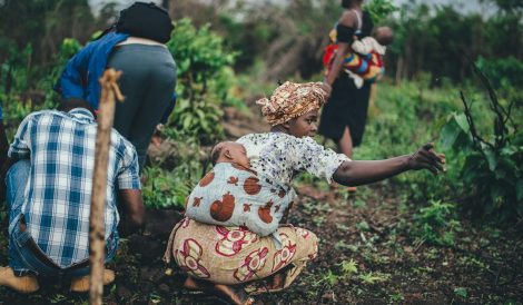 Community agriculture representing climate resilience and adaptation