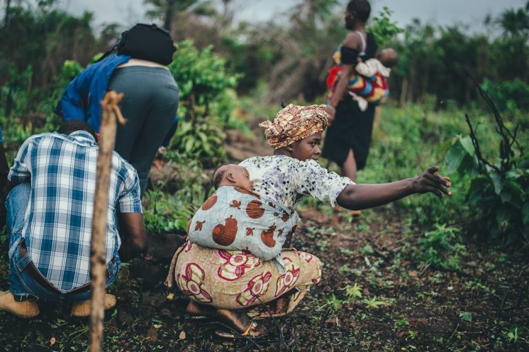 Community agriculture representing climate resilience and adaptation