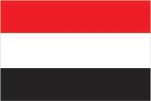 ym-flag